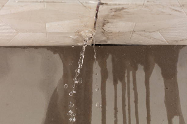 Professional Sewage Cleanup technician working in Fosters, AL